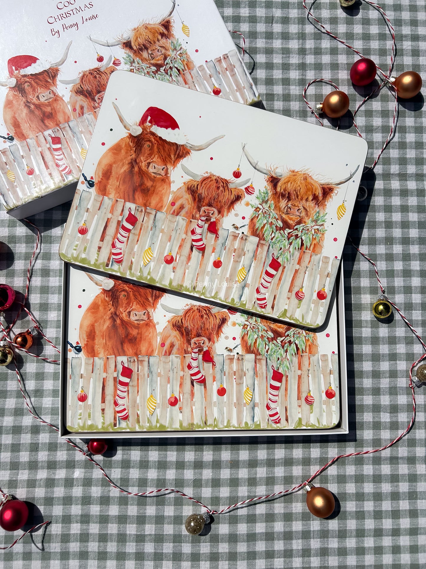 Coo Christmas Placemats - Set of 6