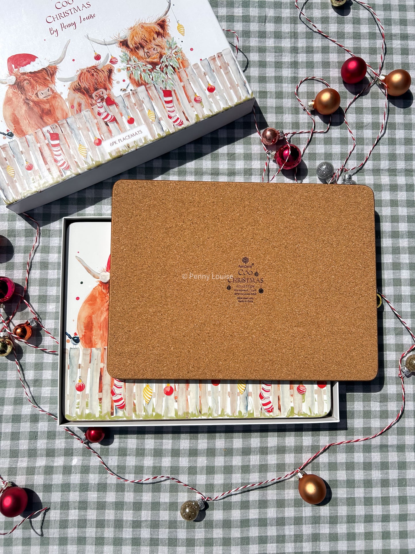 Coo Christmas Placemats - Set of 6