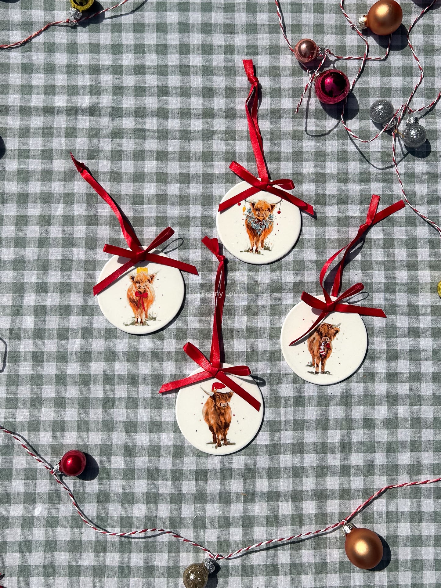 Coo Christmas Decorations