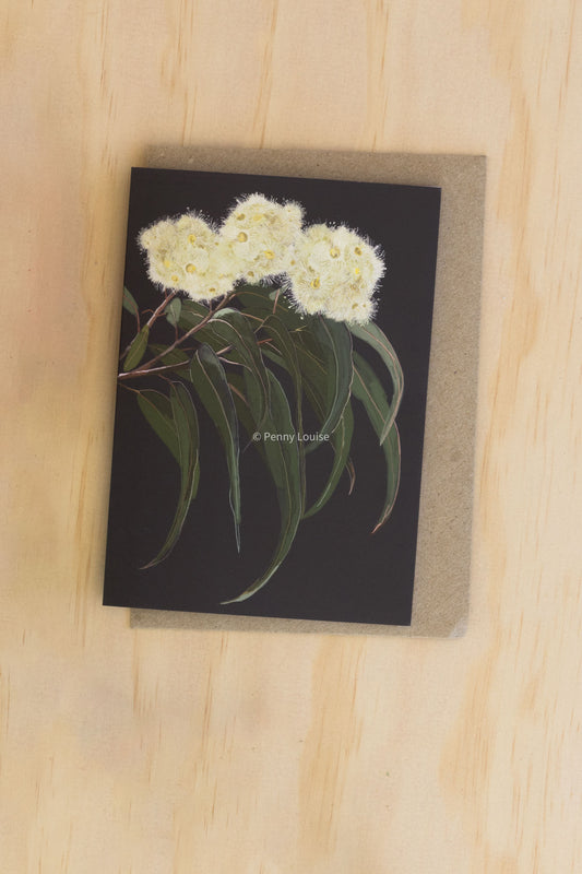 'Midnight Bloom - White Gum Blossom' - Greeting card