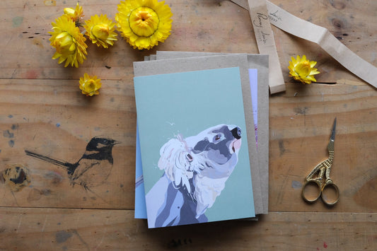 'Koala' - Greeting card