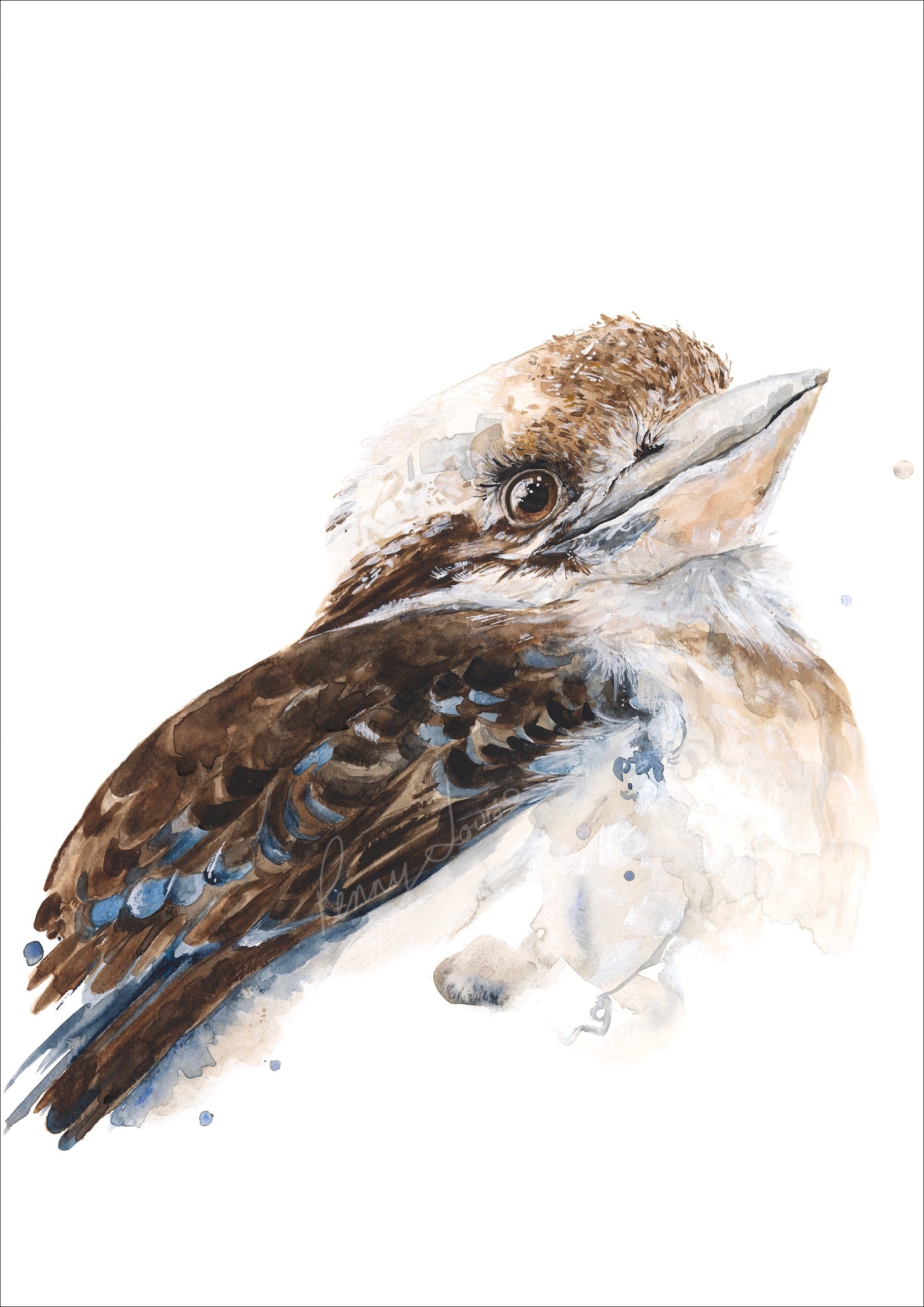 'Hey There You' - 'Kookaburra- Fine Art Print - Paper