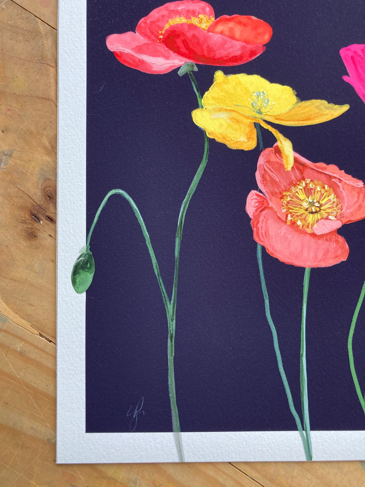 'Midnight Bloom III' – Poppies - Fine Art Print - Paper