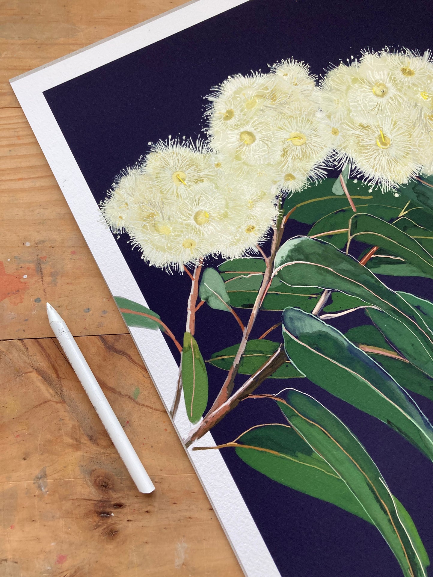 'Midnight Bloom I' - White Gum Blossom - Fine Art Print - Paper