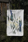 'Wattle Queens' - Tea Towel